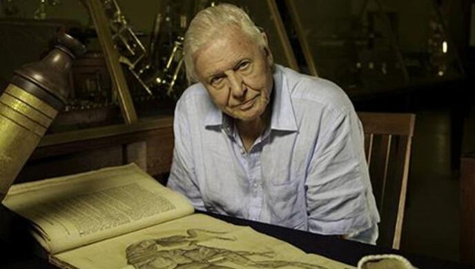 Top shows of Sir David Attenborough to watch exclusively on Sony BBC Earth on his birthday!
