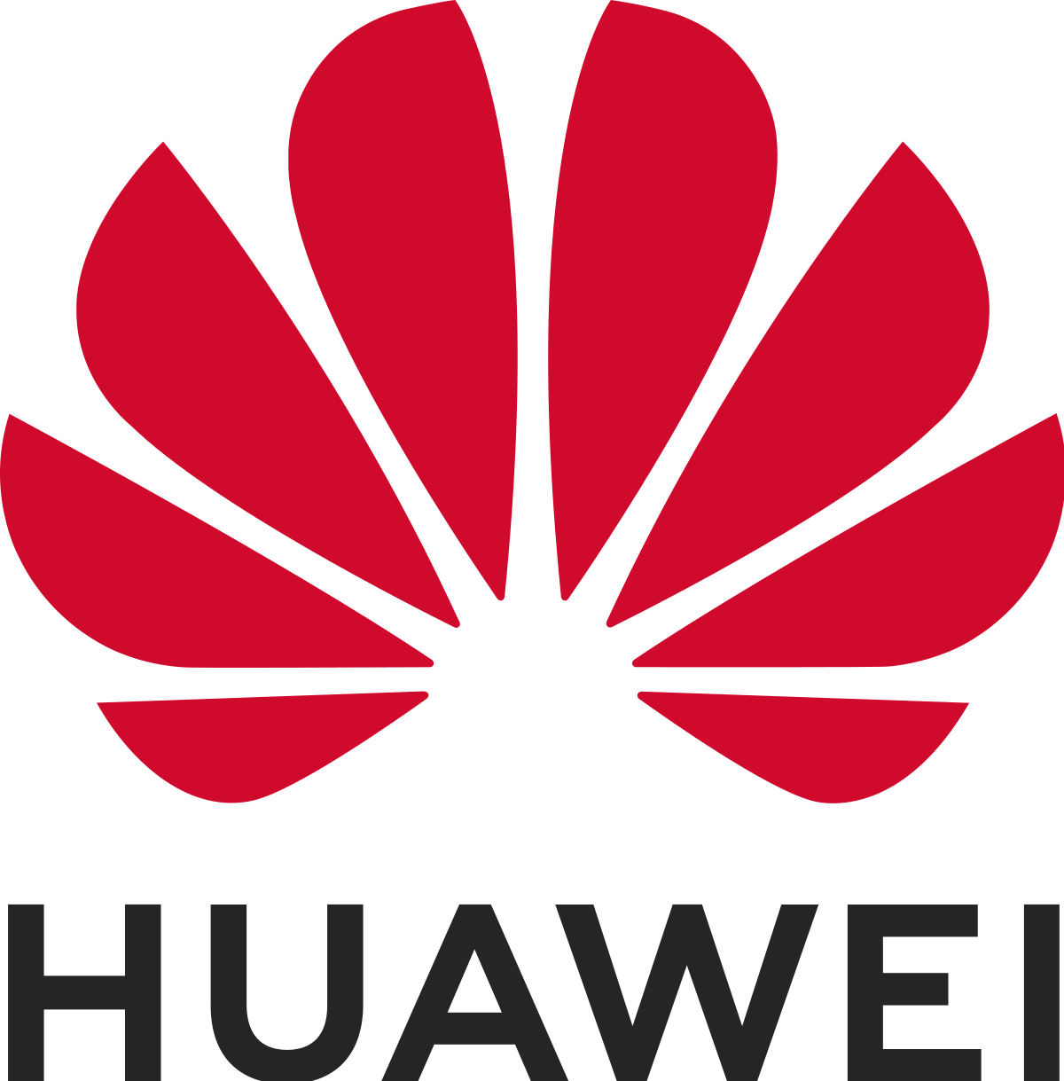 Huawei's Ryan Ding: Green ICT for New Value