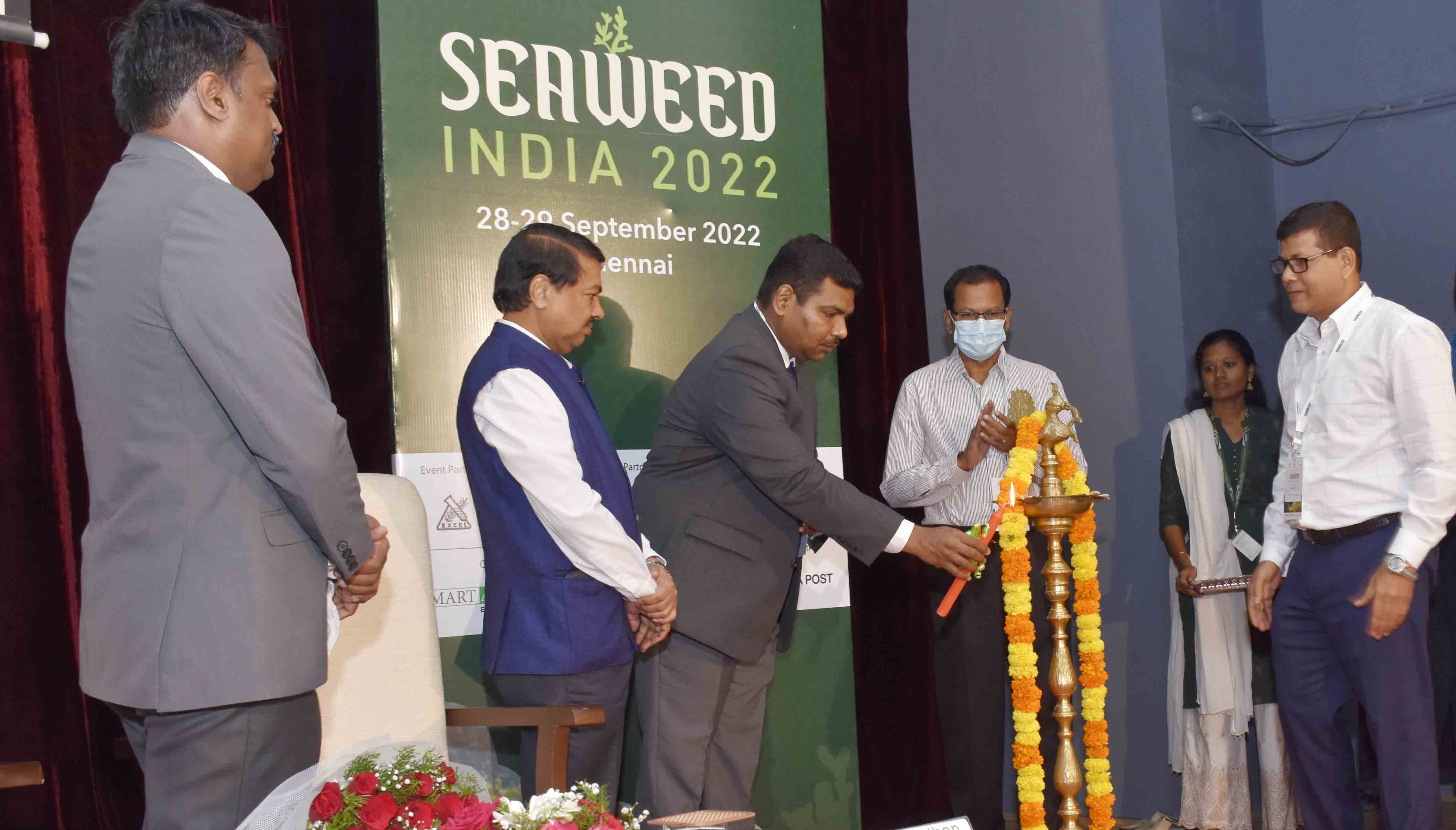 Tamil Nadu eyes upscaling seaweed farming to make it a modern seaweed hub