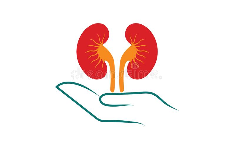 10 Kidney symptoms that you should not ignore