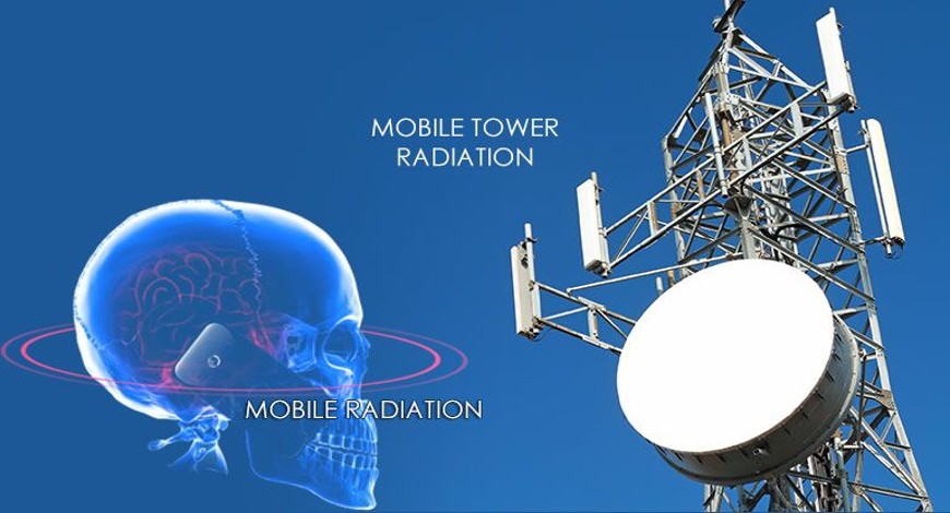 North East Licensed Service Area of Department of Telecommunication organizes an awareness webinar on Electromagnetic Radiations from Mobile Tower